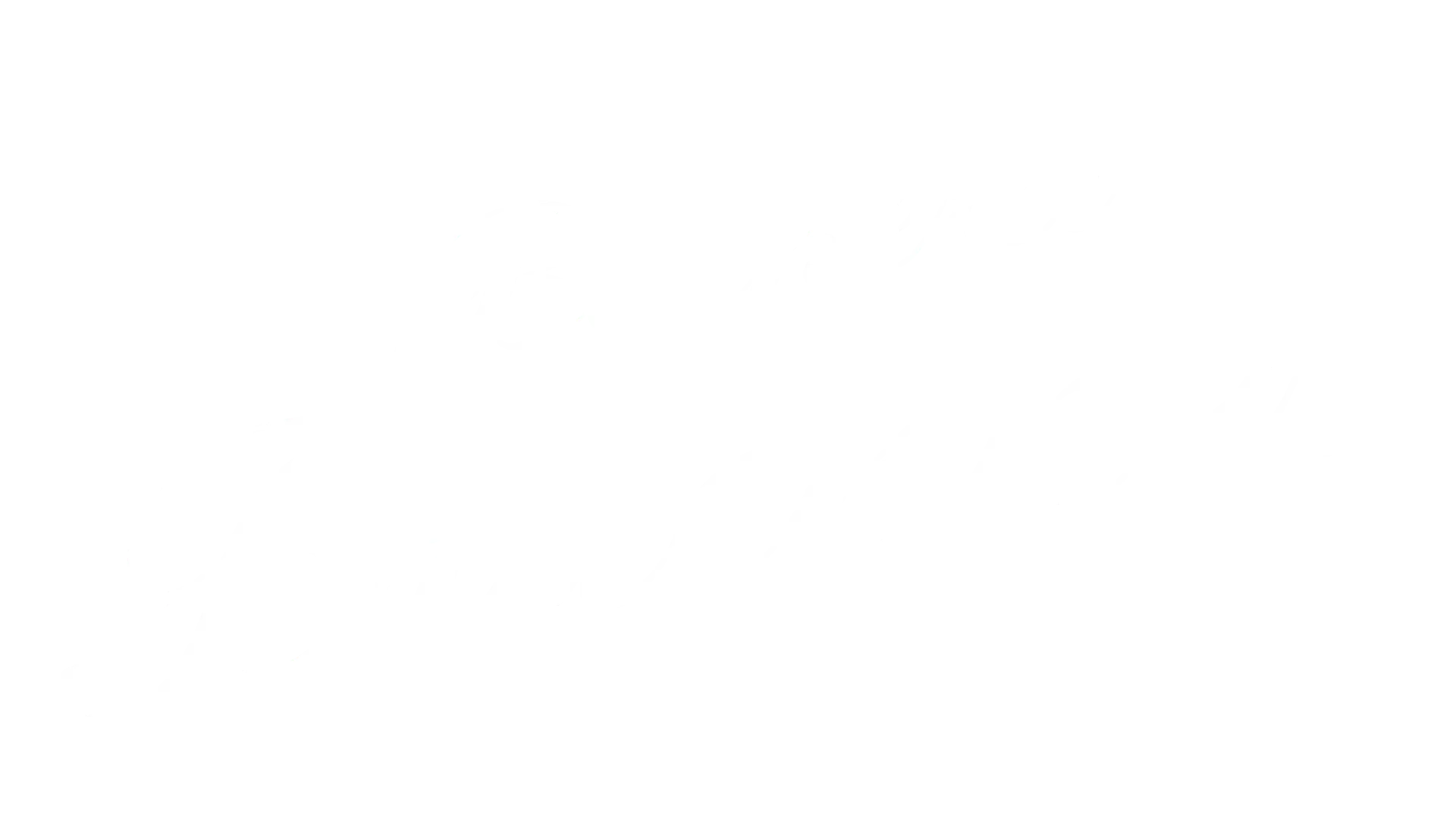 Schriftzug Bäckerei Bruckner